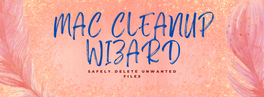 Mac Cleanup Wizard Interface